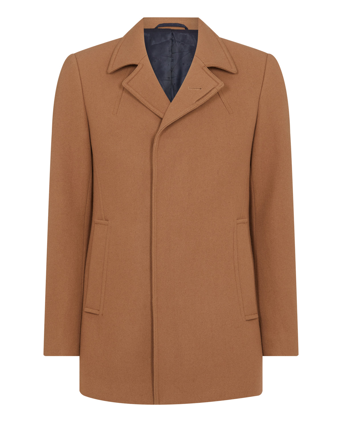 ID20271-Remus Camel Lohmann