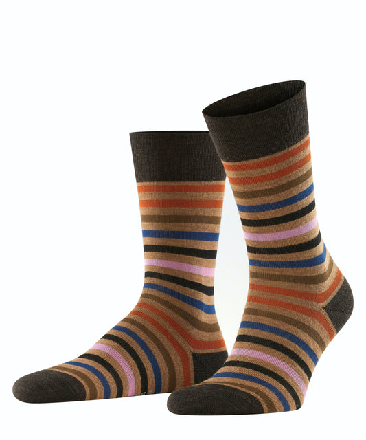 ID40323-Falke Tinted  Brown Stripe